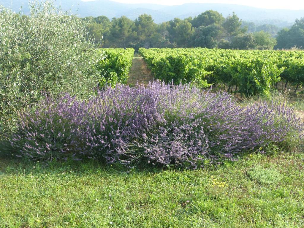 Maison D'Hotes Bastide St Victor A 2,5 Kilometres De Lourmarin Puyvert Экстерьер фото